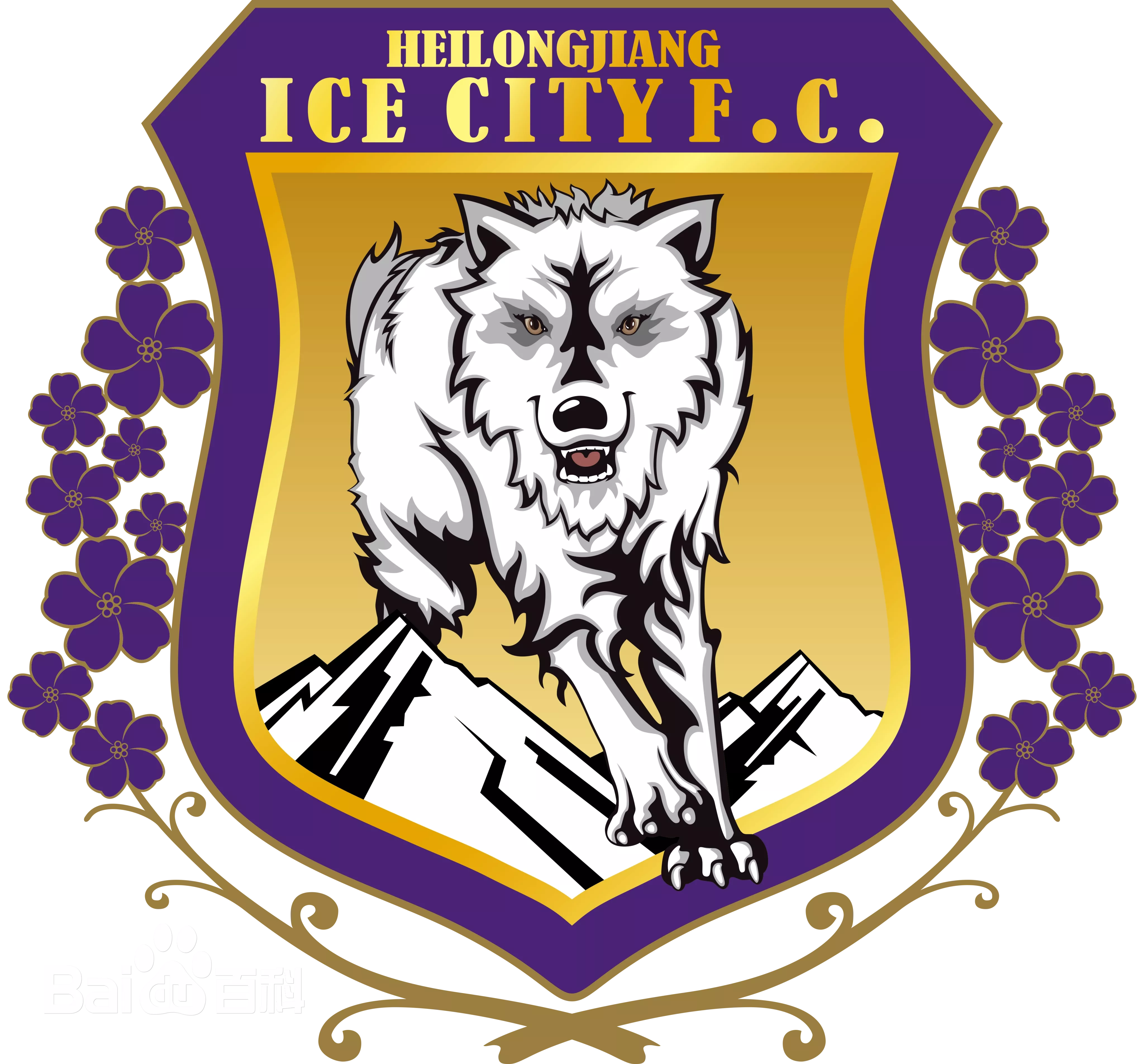 Heilongjiang Bingcheng Football Club